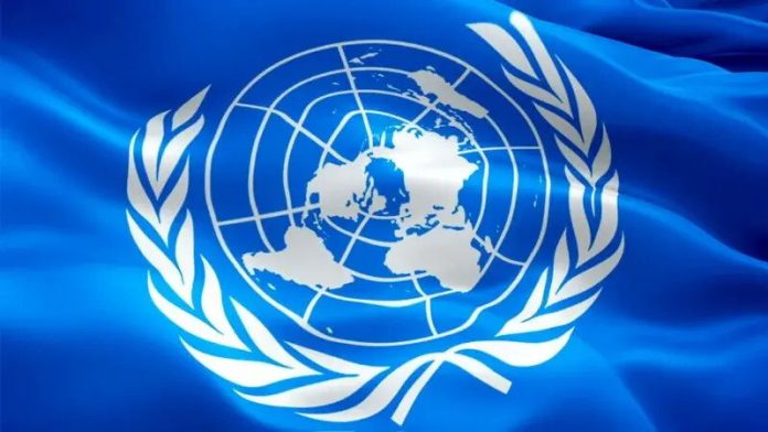 Las Naciones Unidas alerta sobre el supuesto peligro que representan las criptomonedas.