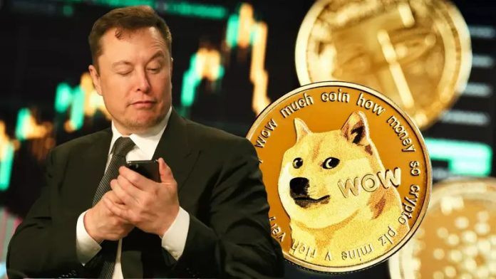 Nuevos elementos en la demanda de Inversores de Dogecoin a Elon Musk.
